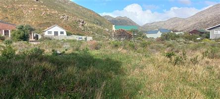Property with a View: A Level Plot in the Heart of Pringle Bay’s Slower Rhythm