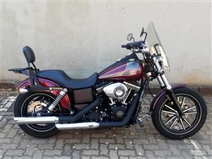 Well Looked After 2014 Dyna Street Bob