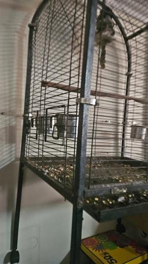 PARROT CAGE