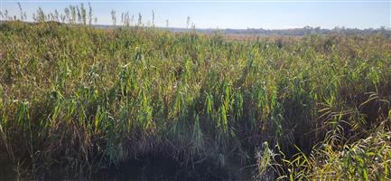 Vacant Land Agricultural For Sale in Pretoria North