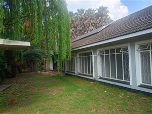 Renovation in progress -The perfect family home for your start up family