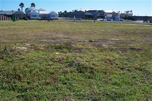 Well situated and well priced vacant stand.