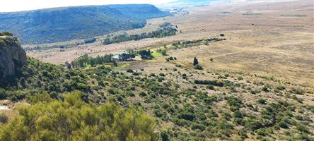 Farm For Sale in Ladybrand