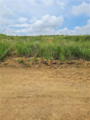 HELMSLEY COUNTRY ESTATE – NATURE | FAMILY | COUNTRY