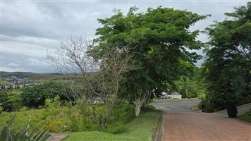 Build Your Dream Home in Secure Palm Lakes Estate