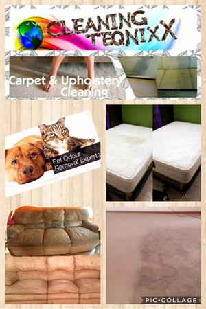 Carpet and upholstery cleaning services 