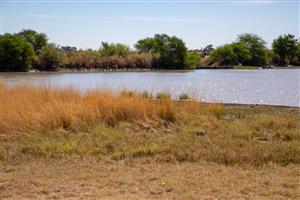 Vacant Land Agricultural For Sale in Koppies