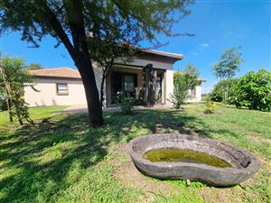 Ngwenya River Estate – A Nature Lover’s Dream with Exceptional Investment Potential