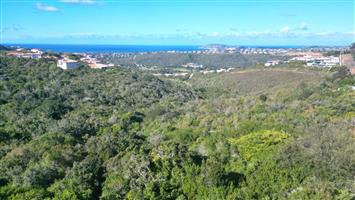 Priced to Sell! Prime Vacant Stand with Magnificent views in Schoongezicht Private Estate!