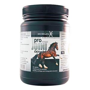 Buy Morganix Pro Joint Equine Online in South Africa			