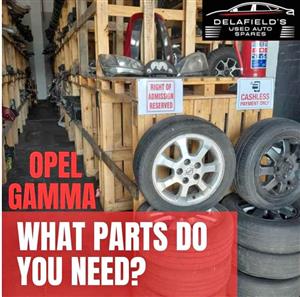 Opel Gamma Parts & Spares