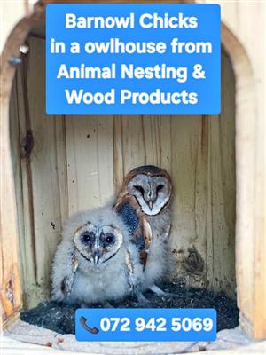 Uilhuise te koop – Natuurlike Rot- & Muisbeheer