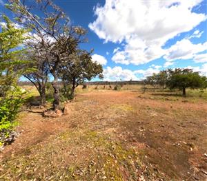 Your Private Bushveld Escape – 25HA Farm with Home, Chalets & Wildlife