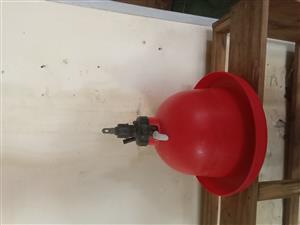 Automatic plasson broiler drinkers 