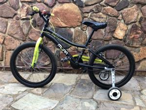 20 inch mountain bike for sale