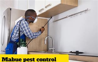 Pest control 