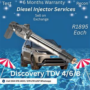 TDV Discovery diesel injectors