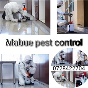 Pest control and Hygiene 