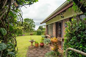 Move-In Ready, neat as a pin