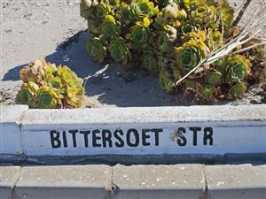 Make your dream a reality, build your dream home walking distance from the beach.