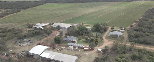 FOR SALE | 34.5 ha WATER-SECURE FARM | INFRASTRUCTURE + PRODUCTION BASE | BYENESPOORT | PRETORIA