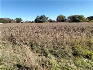 Vacant land in Amsterdam on the R33