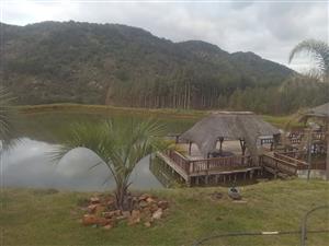 Emahlathini Guest Farm Accomodation.