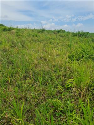 HELMSLEY COUNTRY ESTATE – NATURE | FAMILY | COUNTRY