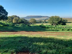 146ha Farm at a Remarkable Price, Premium Farm with Views & Value