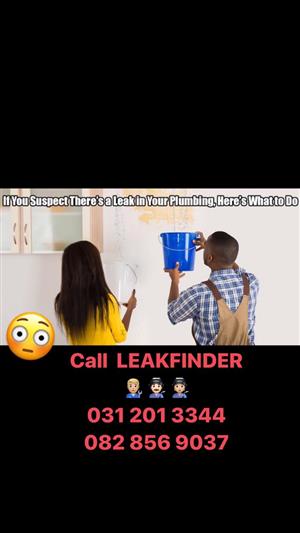 Leak Detection & Repairs