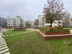 Apartment Rental Monthly in Bedfordview