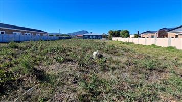 Prime Vacant Stand in Fisherhaven