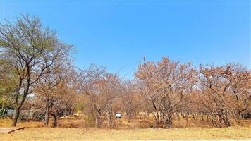 EXPANSIVE STAND IN BUSHVELD PARADISE FOR AN INCREDIBLE PRICE