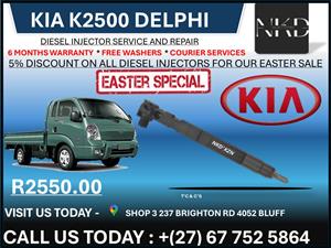 Kia K2500 Delphi Diesel Injectors on recondition