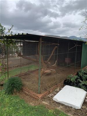 6mx6mx1.8m in panels walk in cages 