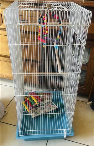 Bird/ Cockatiel cage and accessories 