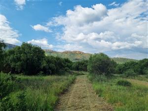 Olifantsnek Dam – Special- Zoned small holding - Endless Business Potential