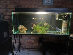 3ft tank for sale 