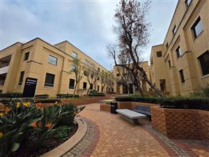 1804m2 Office Space To Let in Brooklyn