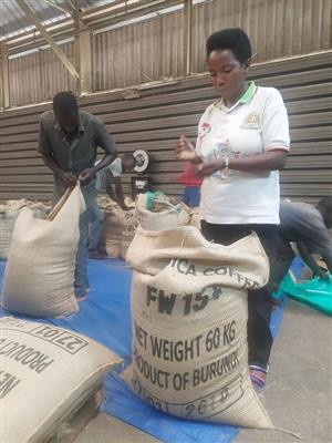 Ethically Sourced Burundi Single Origin Arabica Green Coffee Beans