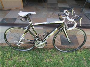 merida race lite 901 price