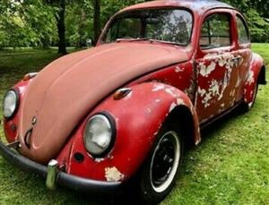 Beetle Project For Sale 