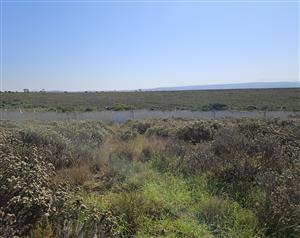 750m² Slice of paradise!