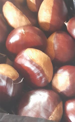 Chest Nuts 1kg
