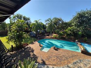 Exciting Exquisite Executive exceptional