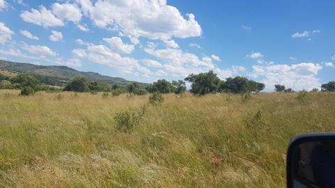Small Holding For Sale in Broederstroom A H