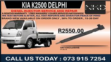 Diesel Injectors Kia K2500 Delphi 