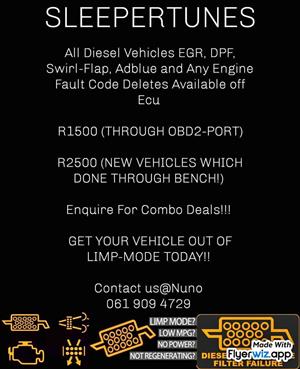 All Diesels EGR , DPF , Swirl-Flap , Adblue Ecu Deletes Available