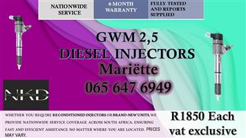 PROFESSIONAL WORKMANSHIP GWM 2.5