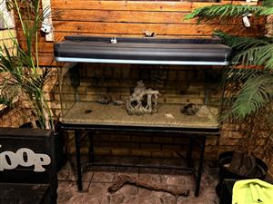 Fish tank